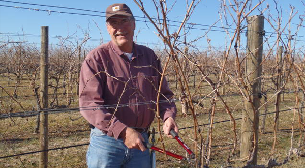 Ben Pruning