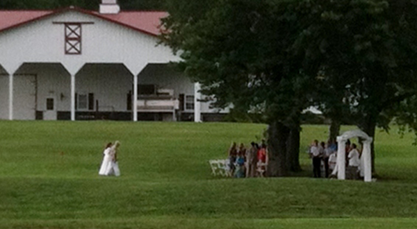 wedding
